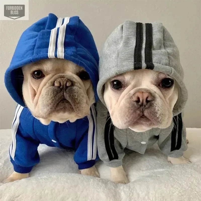 Adidog Dog Clothes