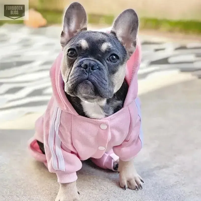 Adidog Dog Clothes