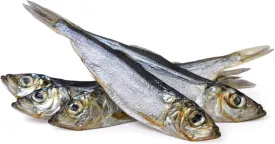 Alaskan Herring Whole Fish Pet Treat - Air-Dried, Single-Ingredient for Cats & Dogs - Natural Training Treats, Dried Fish Snack, 3.5-oz Bag