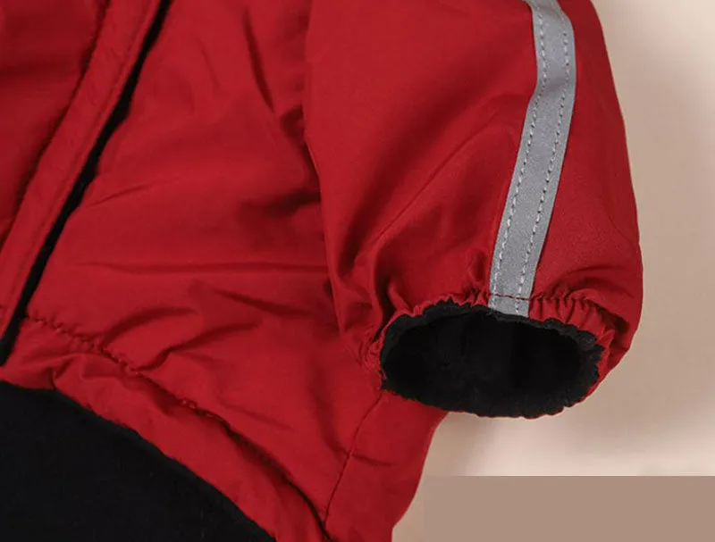 Autumn and winter dog clothing plus velvet padded jacket two-legged hooded raincoat reflective stripe cotton coat