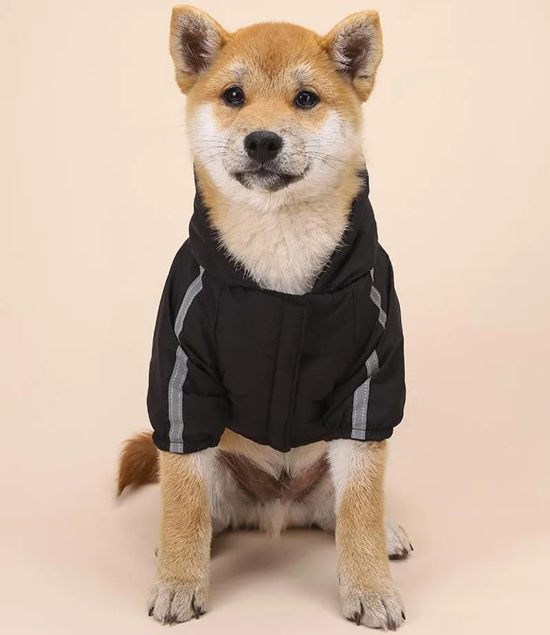 Autumn and winter dog clothing plus velvet padded jacket two-legged hooded raincoat reflective stripe cotton coat