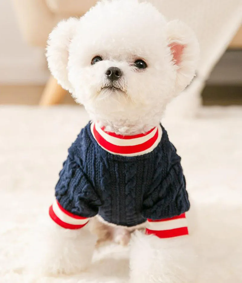 Autumn and winter short twist knit sweater sweater pet clothes