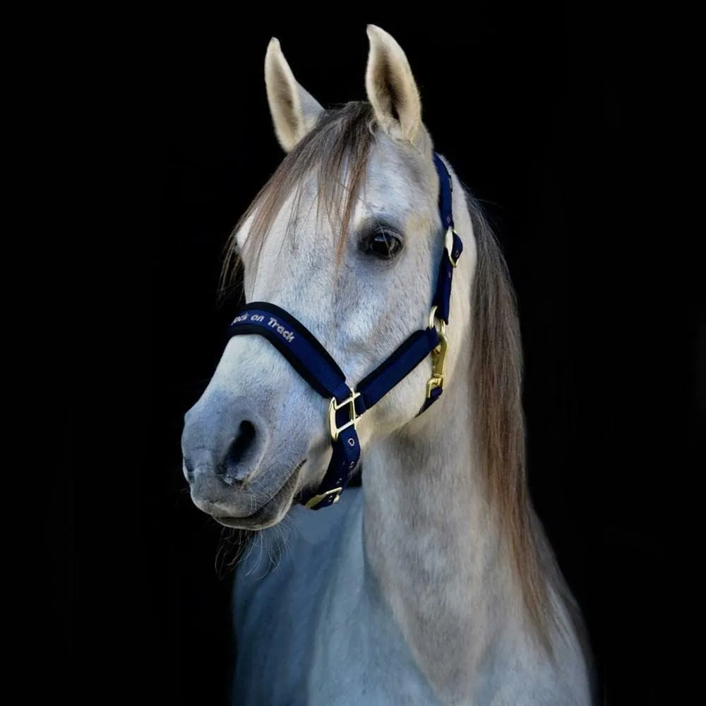 Back on Track Werano Halter Full Blue