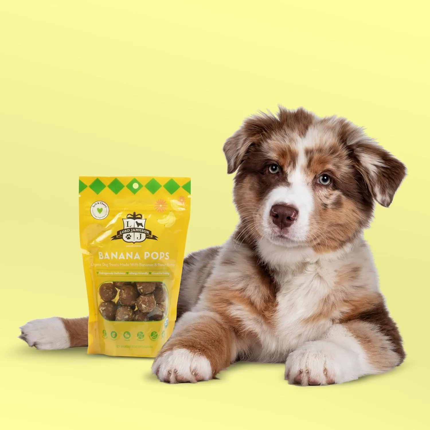Banana Pops Soft & Chewy Certified Organic Dog Treats - Vitamin-Rich & Nutrient-Dense Chia Seeds - Plant-Based, Gluten-Free, Preservative-Free  All Life Stages - Made in USA 6 oz