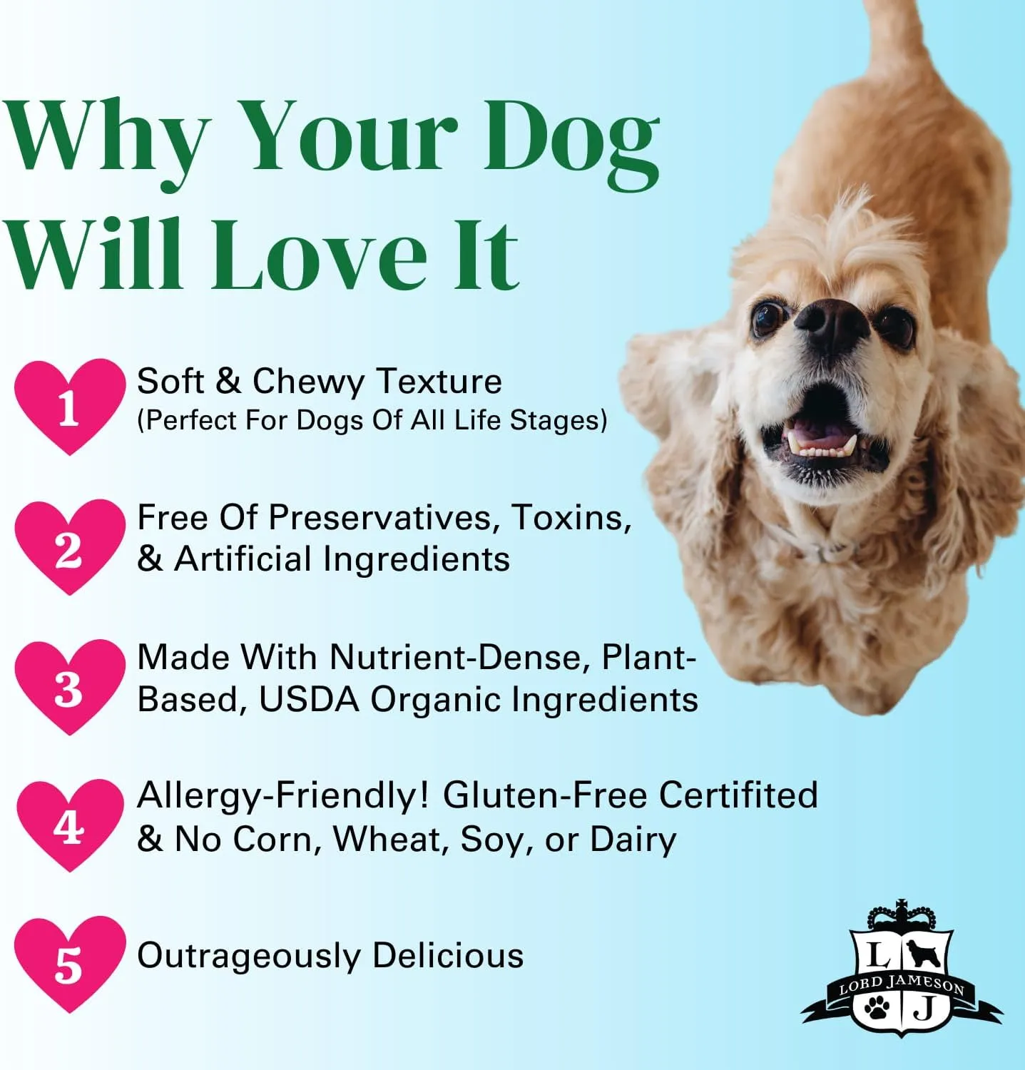 Banana Pops Soft & Chewy Certified Organic Dog Treats - Vitamin-Rich & Nutrient-Dense Chia Seeds - Plant-Based, Gluten-Free, Preservative-Free  All Life Stages - Made in USA 6 oz