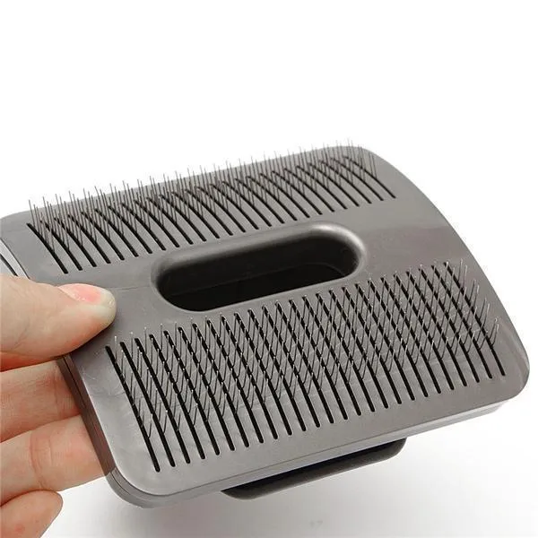 Best Pet Hair Vacuum for Cats & Dogs