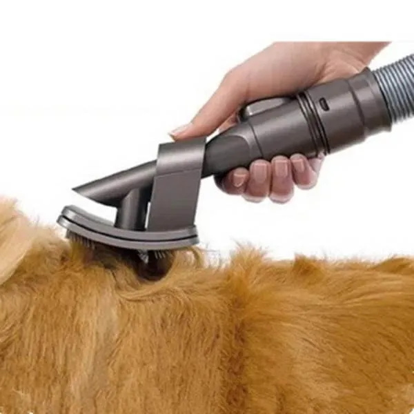 Best Pet Hair Vacuum for Cats & Dogs