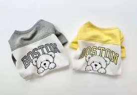 Boston Color-Block Tee