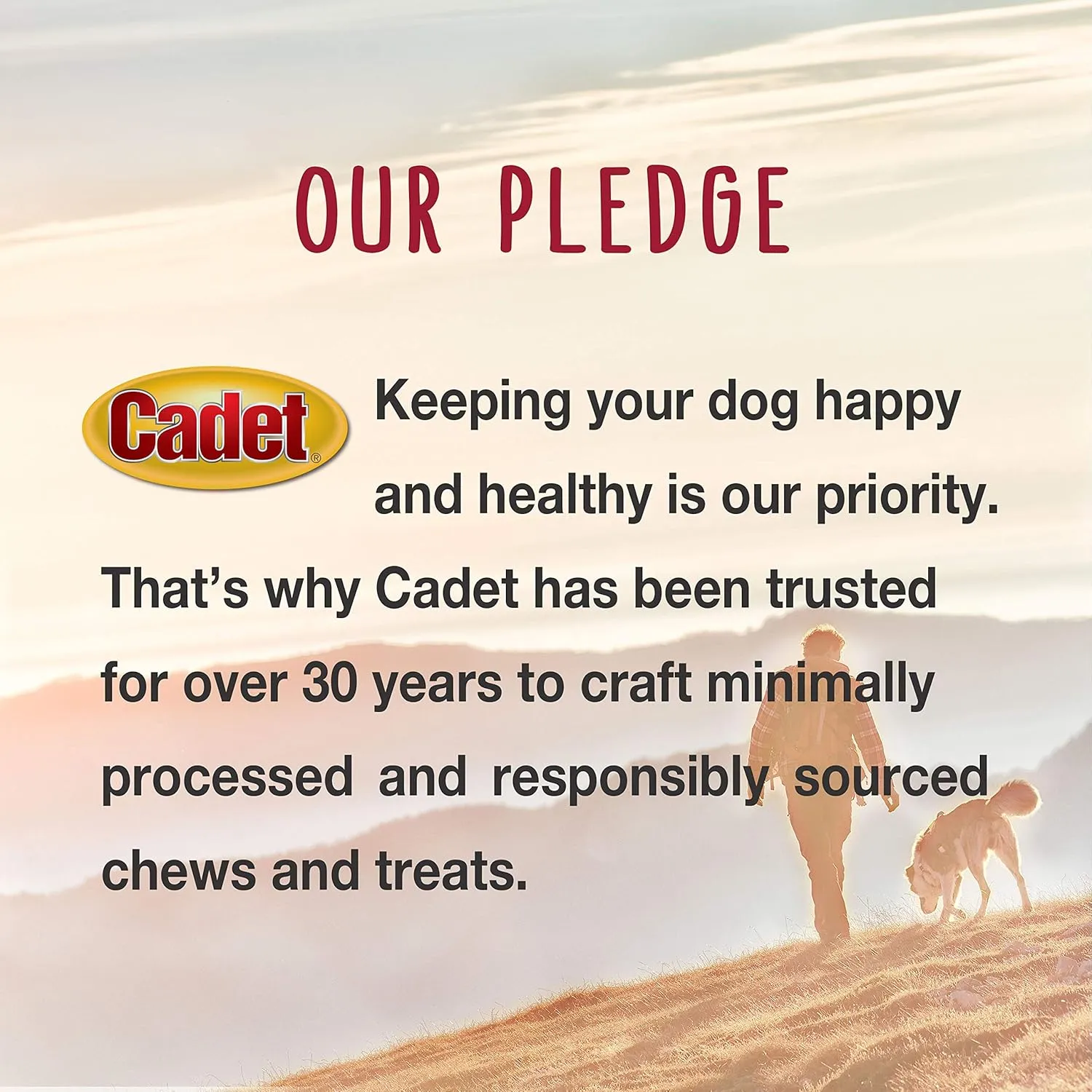 Cadet Gourmet Chicken Breast Dog Treats - Healthy & Natural Chicken Dog Training Treats for Small & Large Dogs - Inspected & Tested in USA (14 oz.)