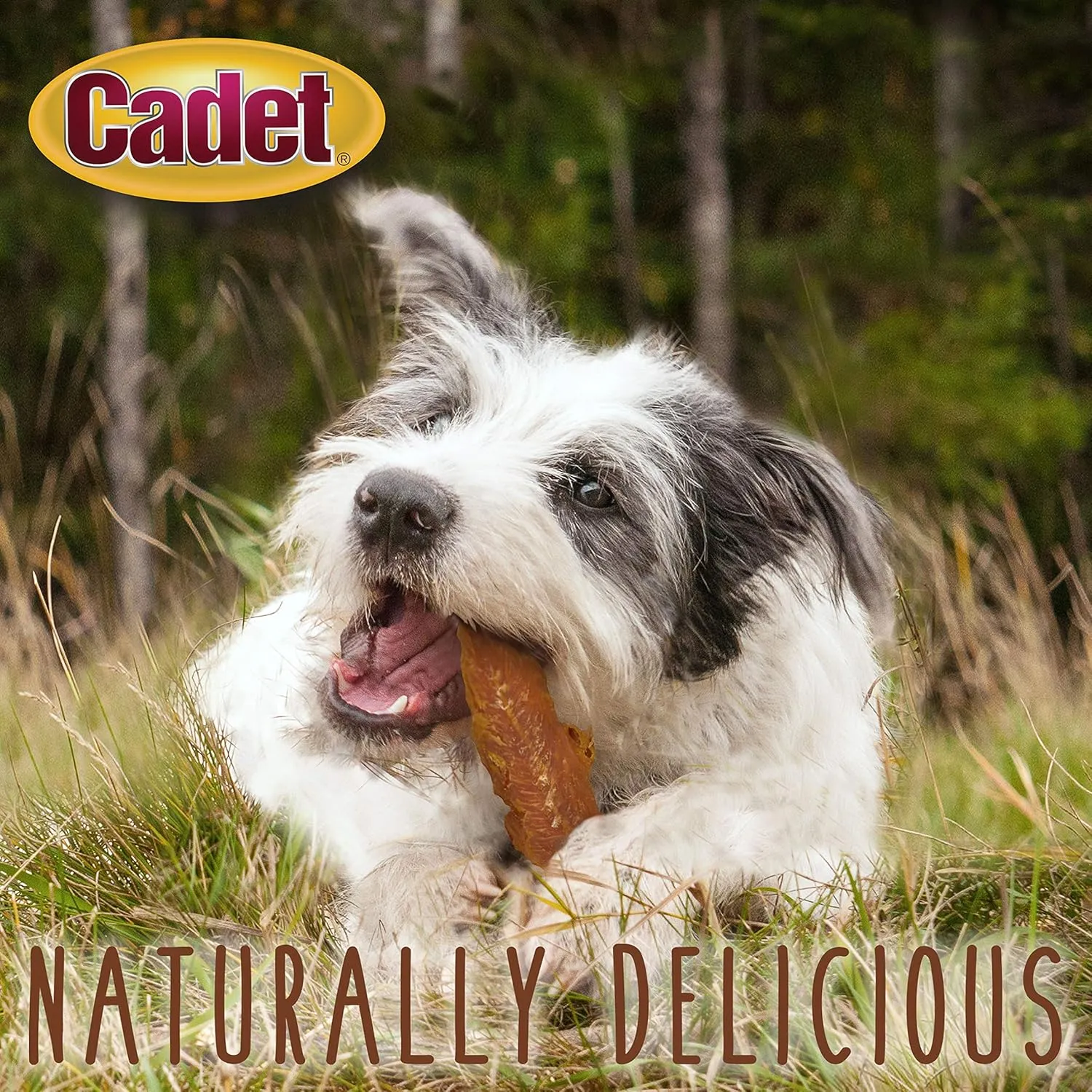 Cadet Gourmet Chicken Breast Dog Treats - Healthy & Natural Chicken Dog Training Treats for Small & Large Dogs - Inspected & Tested in USA (14 oz.)