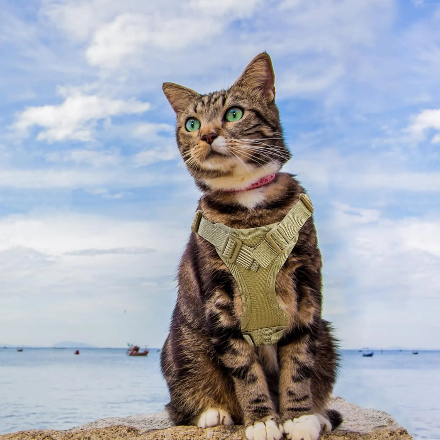 Cat Harness and Leash for Walking, Escape Proof Soft Adjustable Vest Harnesses for Cats, Easy Control Breathable Soft Mesh with Control Handle for Large Cat Small Dog, Gift with Patch