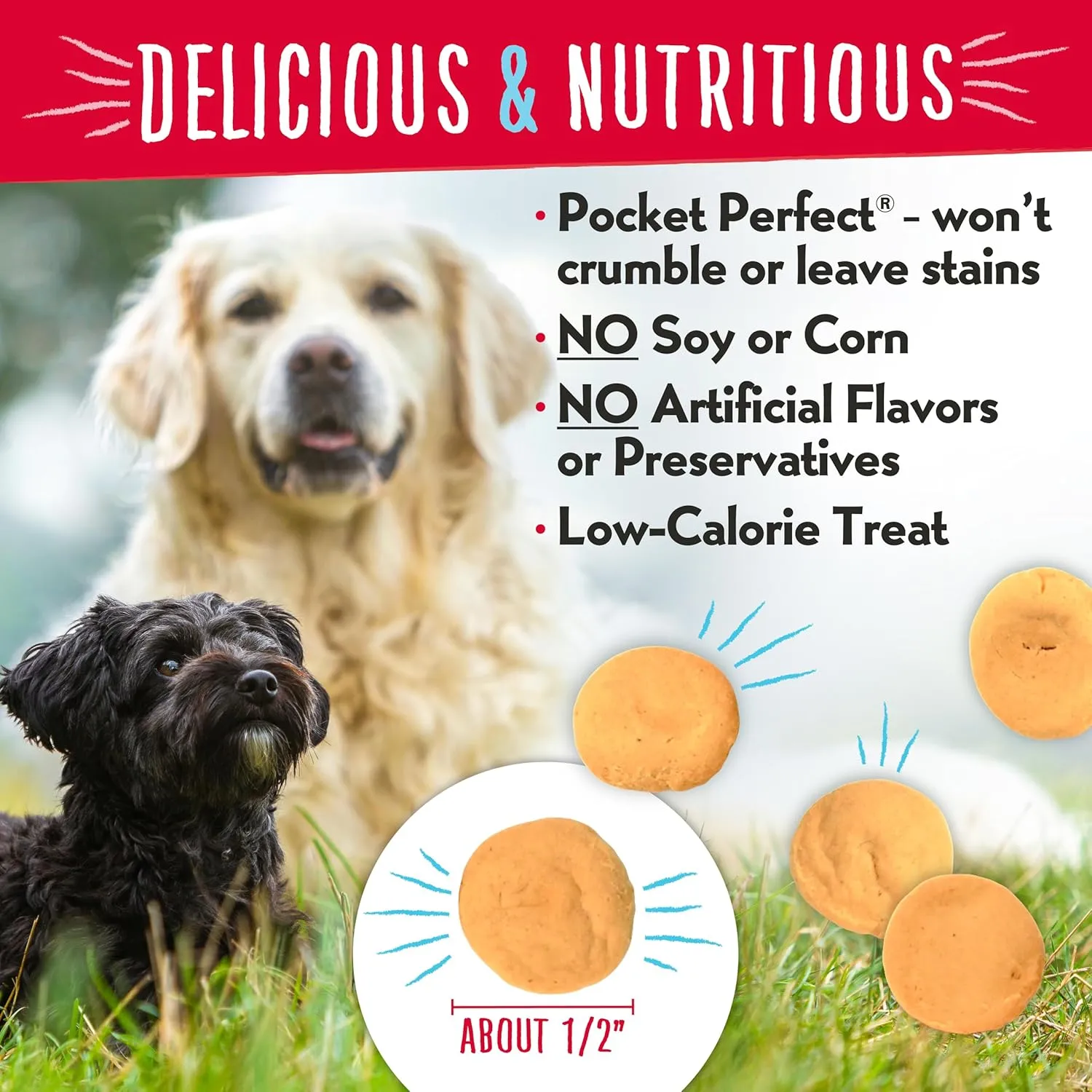 Charlee Bear Dog Treat, 16-Ounce, Cheese/Egg