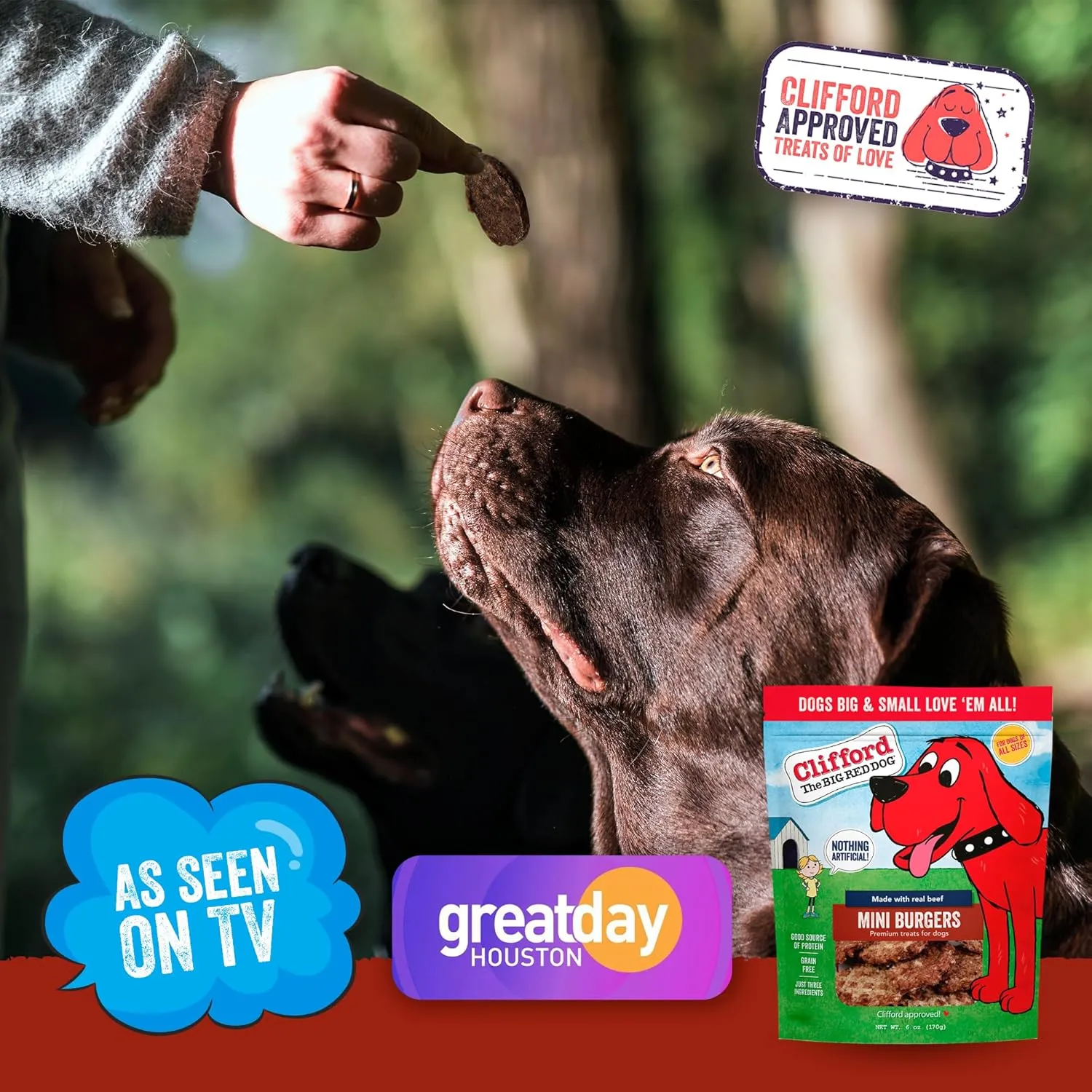 Clifford Beef Mini Burger Bites | Real Meat Treats for All Breed Dogs | Puppy Training, Grain and Rawhide Free, High Protein, Healthy - Limited Ingredients (6oz)