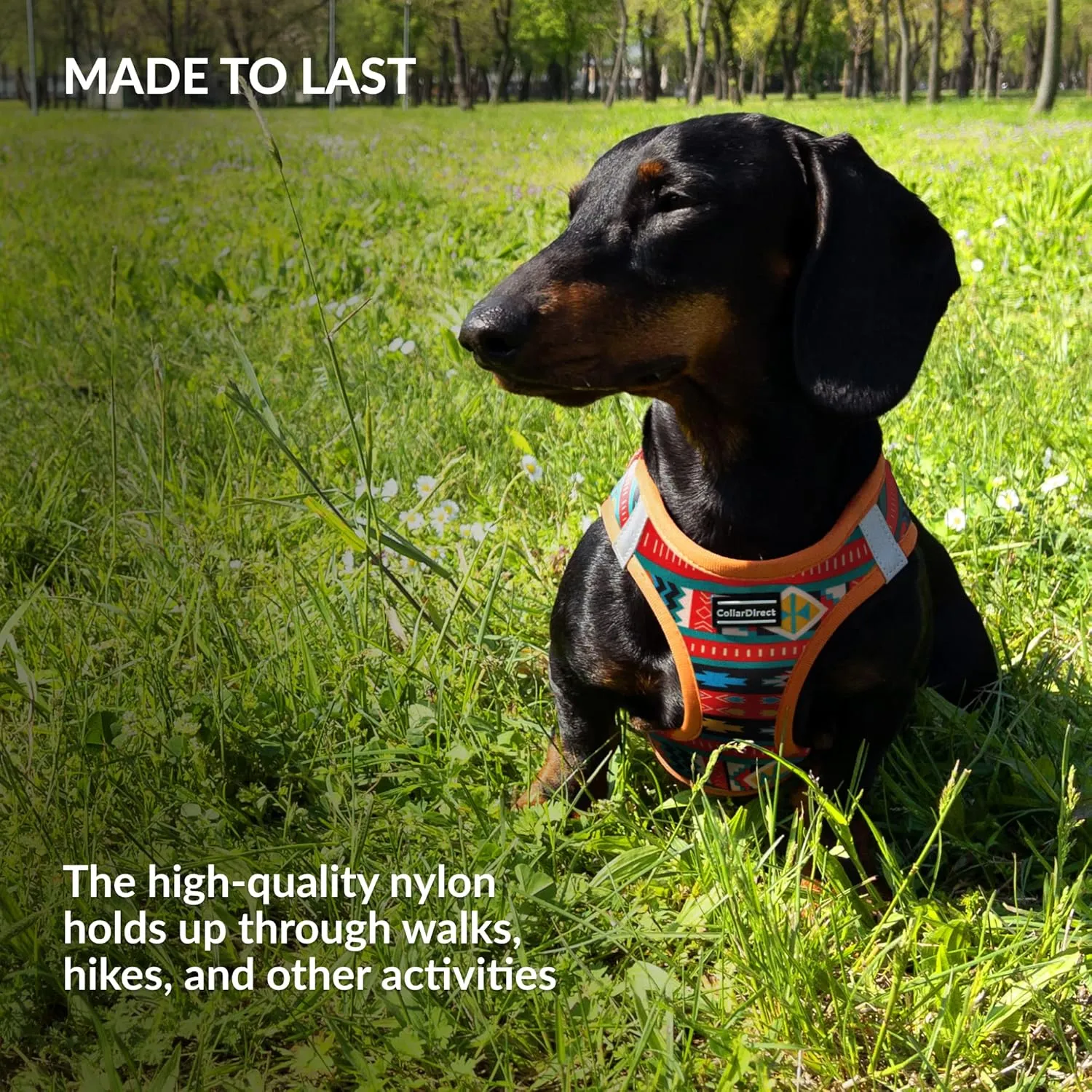 CollarDirect Step-in Reflective Dog Harness - Any Weather Air Mesh for Small and Medium Dogs Easy to Put On and Off 3 Patterns (Size S, Pattern 2)