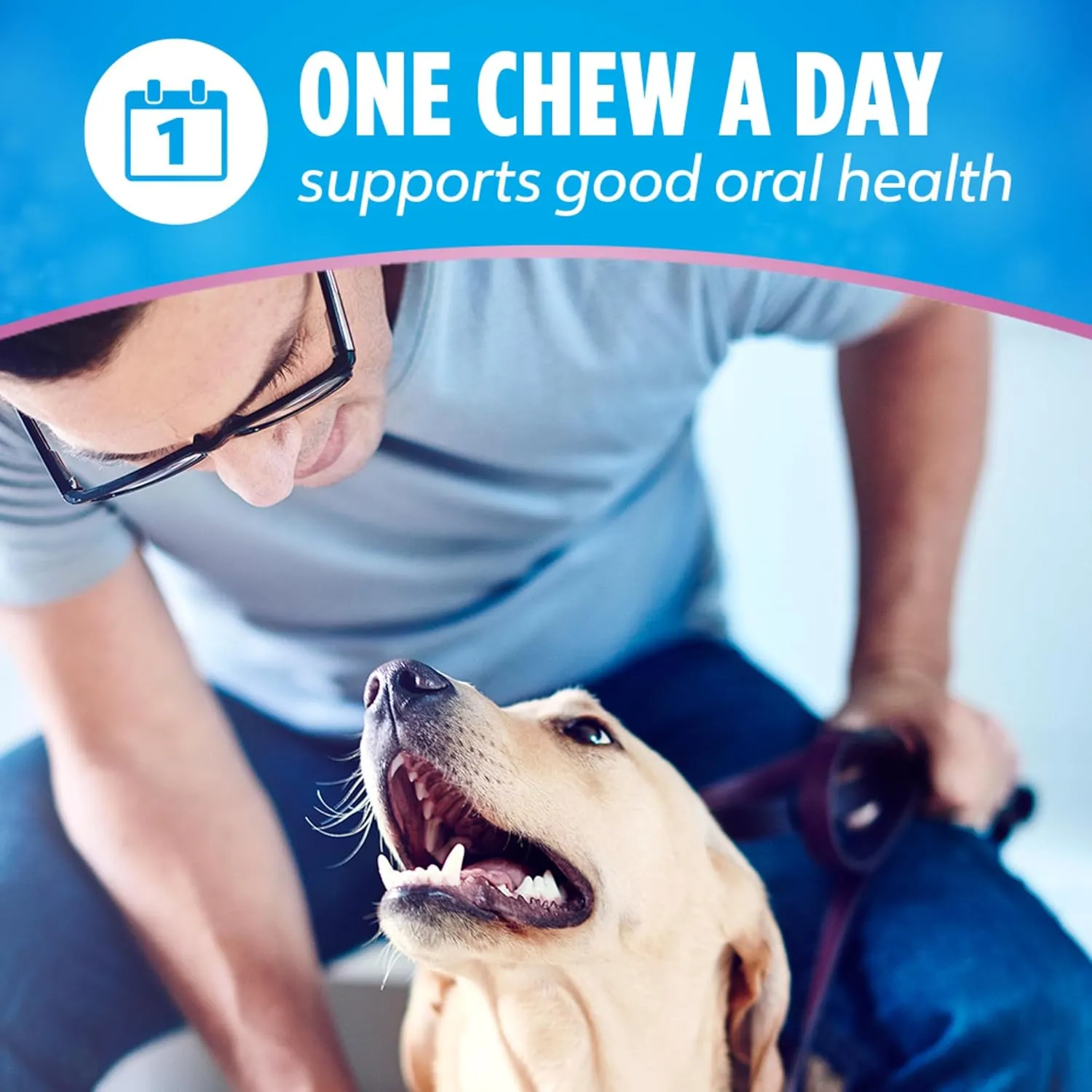 DentaLife Plus Digestive Support Dog Treats for Small and Medium Dogs, Cleans Teeth, Freshens Breath, & Supports Healthy Gut, Chicken & Pumpkin Flavor, 14.4 oz., 19 Chews - 19 ct. Pouch