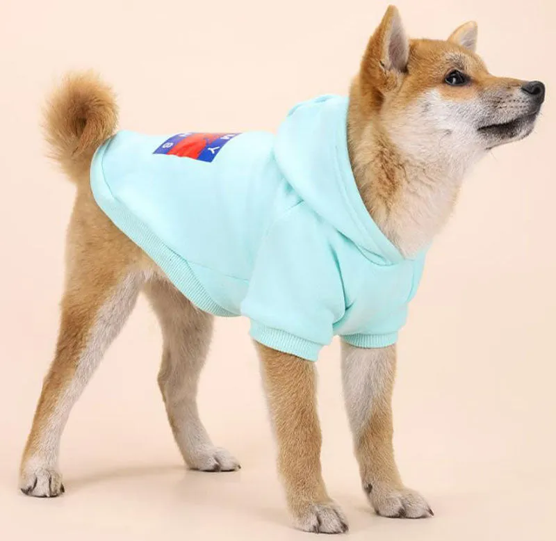 Dog's feet plus velvet warm personality trend hooded sweater