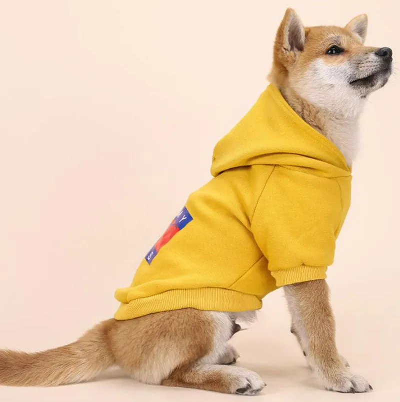 Dog's feet plus velvet warm personality trend hooded sweater