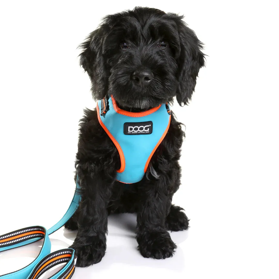 DOOG Neoflex Neoprene Beethoven Neon Blue and Orange Dog Harness Extra Small