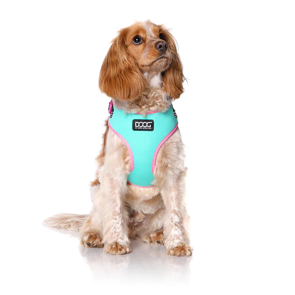 DOOG Neoflex Neoprene Rin Tin Tin Neon Teal and Pink Dog Harness Medium