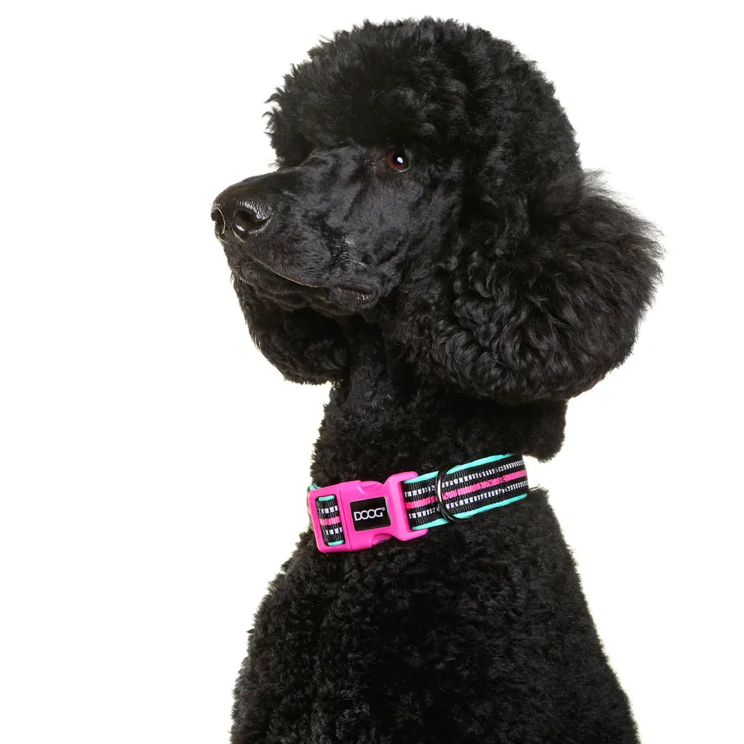 DOOG Neoprene Rin Tin Tin Neon Teal and Pink Dog Collar Small^^^