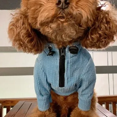 Drawstring Pocket Front Corduroy Pet Owner Matching Hoodie