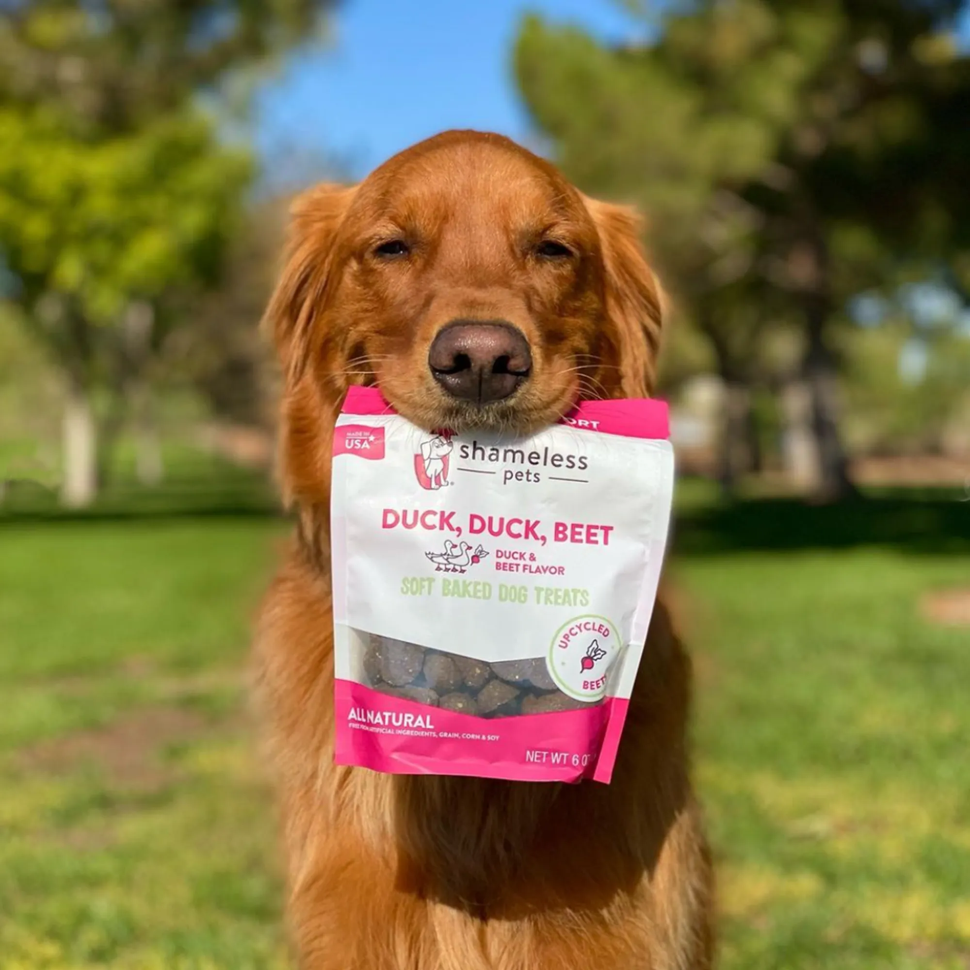 Duck Duck Beet Soft-Baked Dog Treats