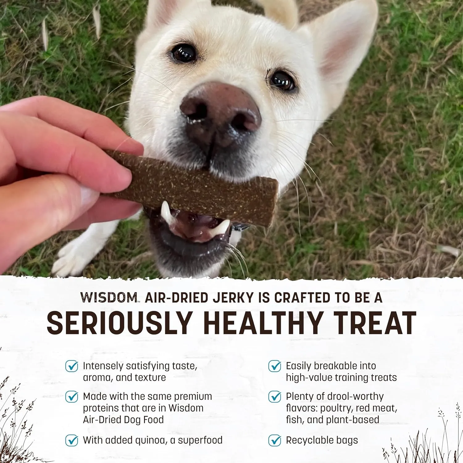Earth Animal Wisdom Air-Dried Jerky from The Sea Recipe | Dog Treats | Dog Snacks | Premium Natural Fish Jerky Strips | 4 oz |Made in The USA (Pack of 3)
