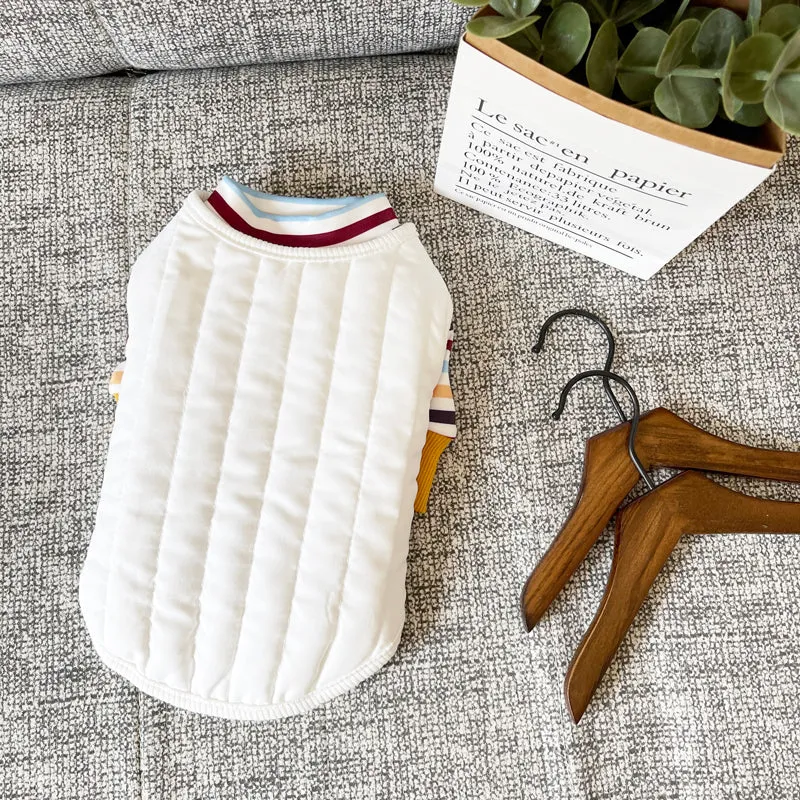 Earthy Stripes Sweater & Button Through Vest Dog Clothes