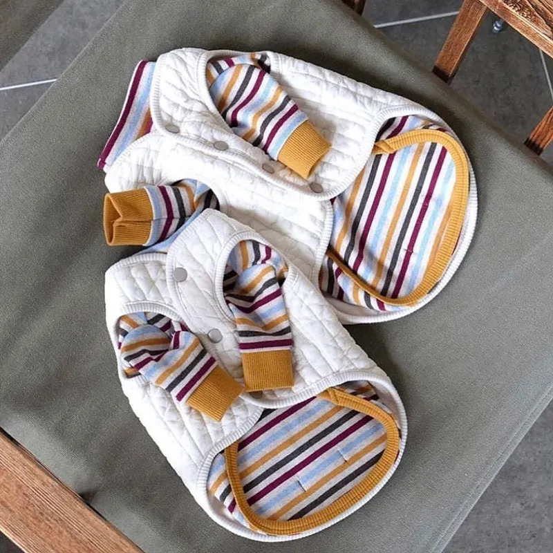 Earthy Stripes Sweater & Button Through Vest Dog Clothes