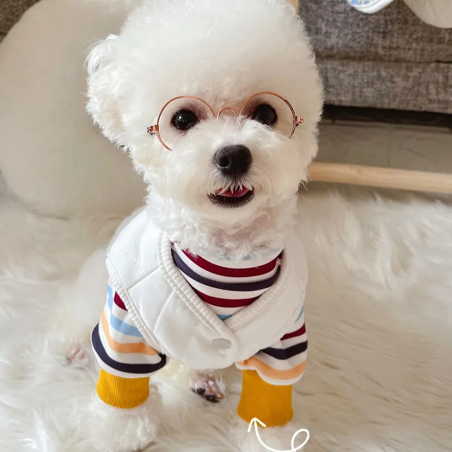 Earthy Stripes Sweater & Button Through Vest Dog Clothes