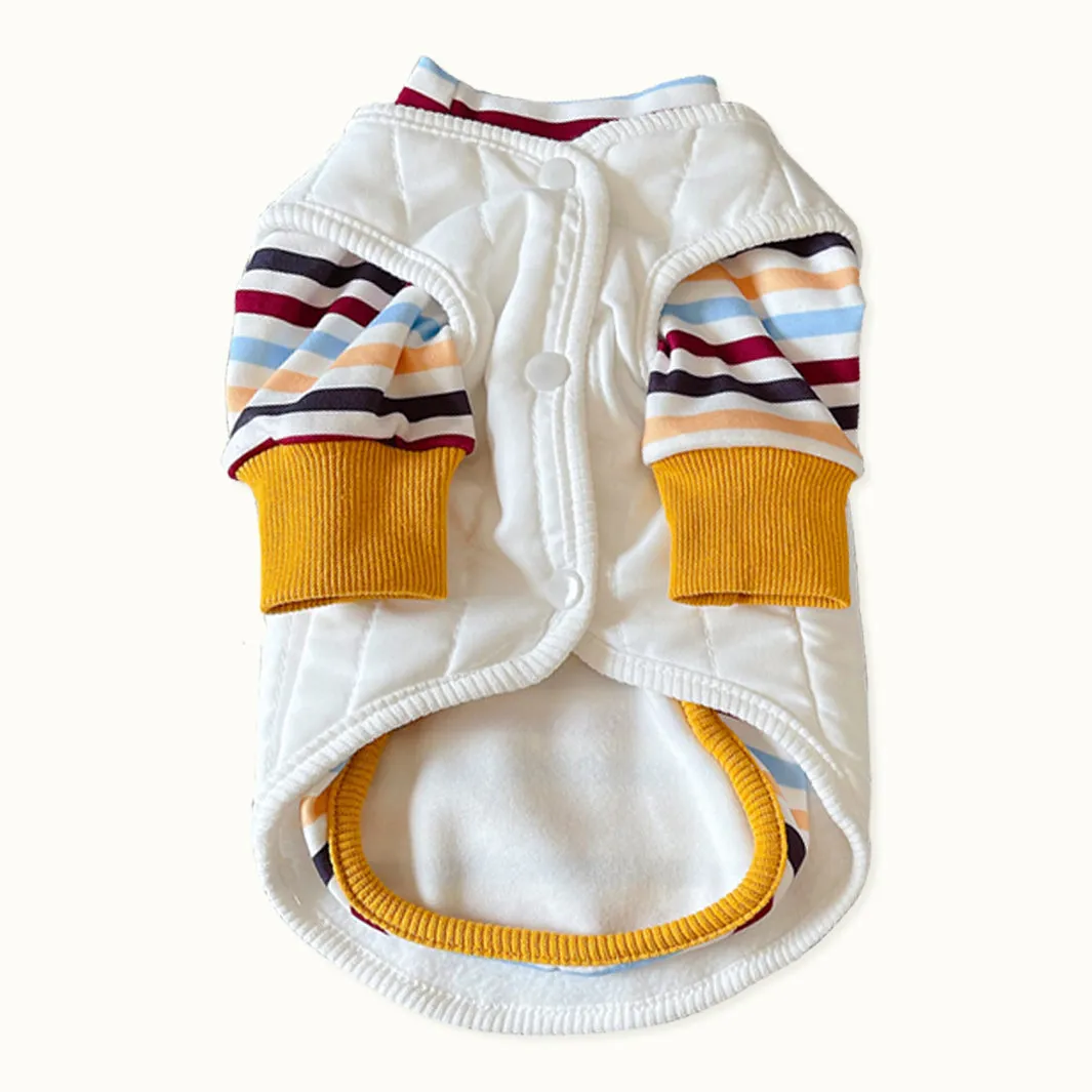 Earthy Stripes Sweater & Button Through Vest Dog Clothes