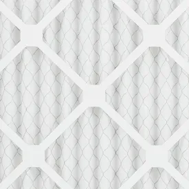 Flanders NaturalAire Standard Air Filter, MERV 8, 20" x 30" x 1"