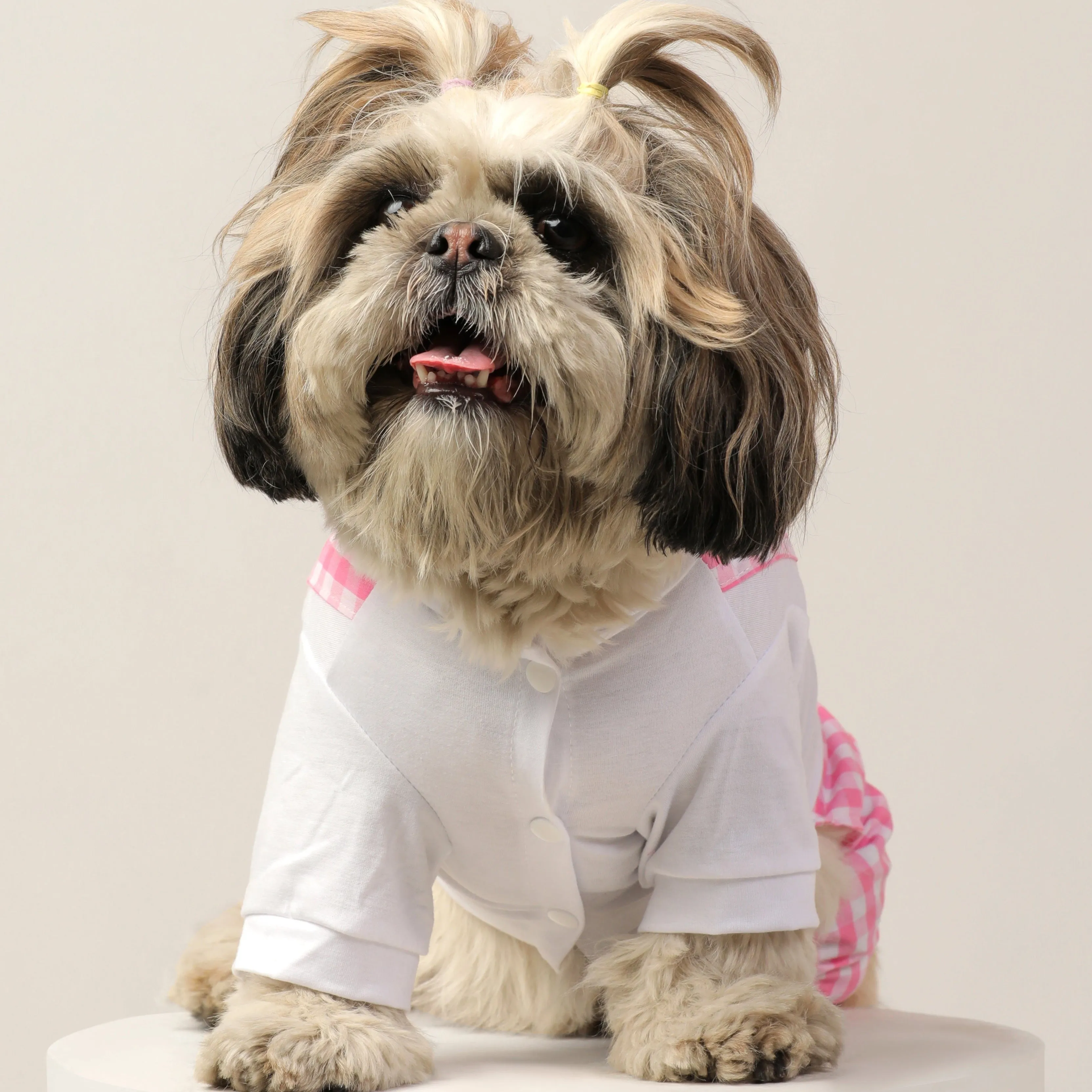 Gingham Pattern Pet Dungaree - Stylish & Comfortable Dog Clothes | Claws N Paws