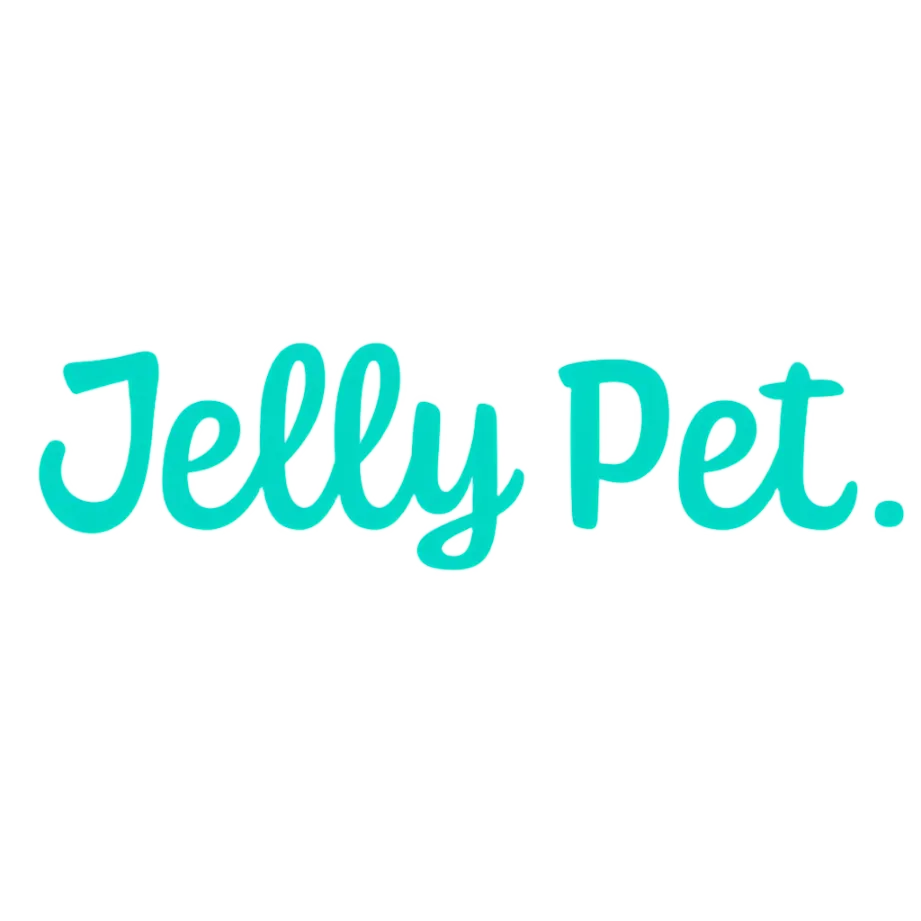 Grooming Loop 3/8"x24" With Ring Teal by Jelly Pet
