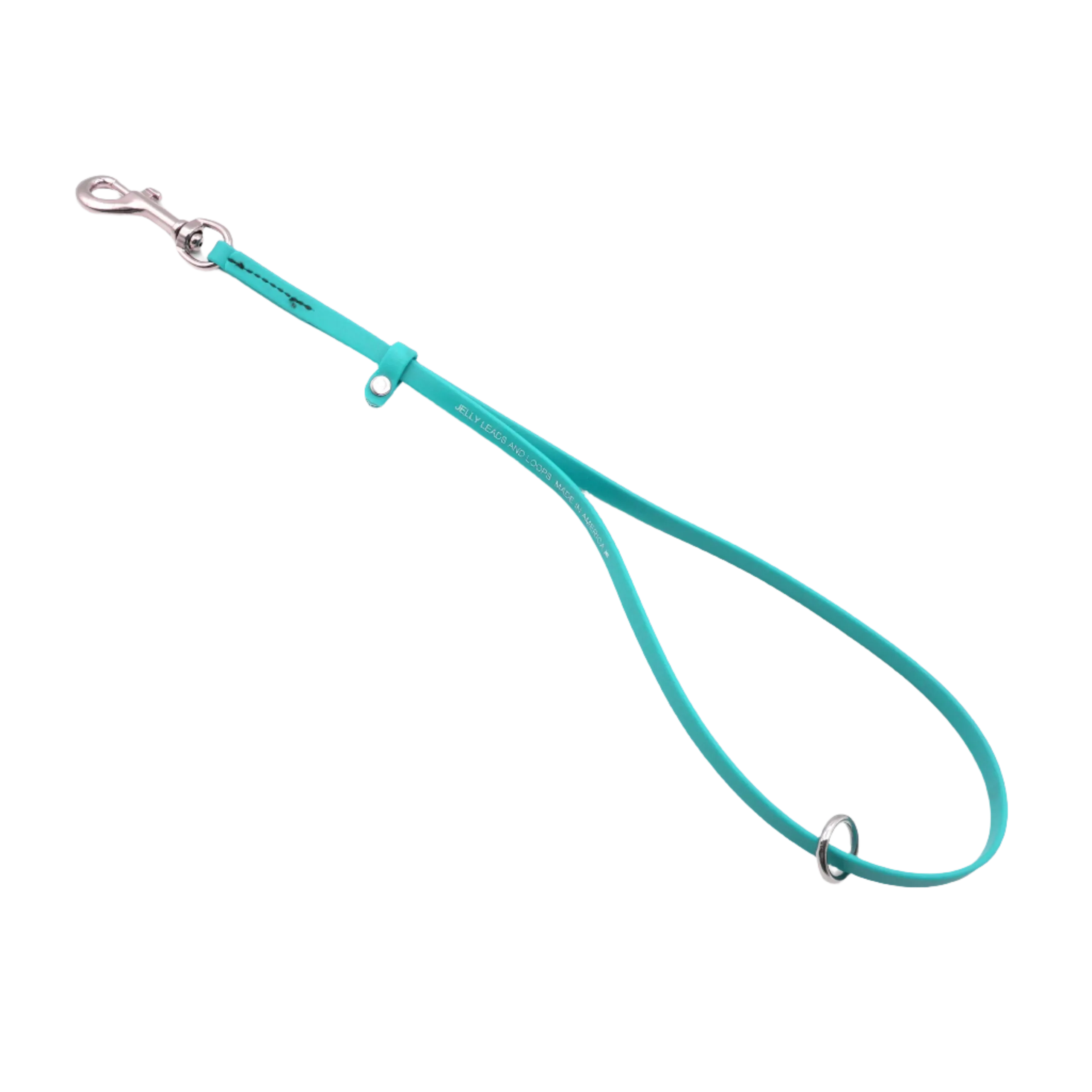 Grooming Loop 3/8"x24" With Ring Teal by Jelly Pet