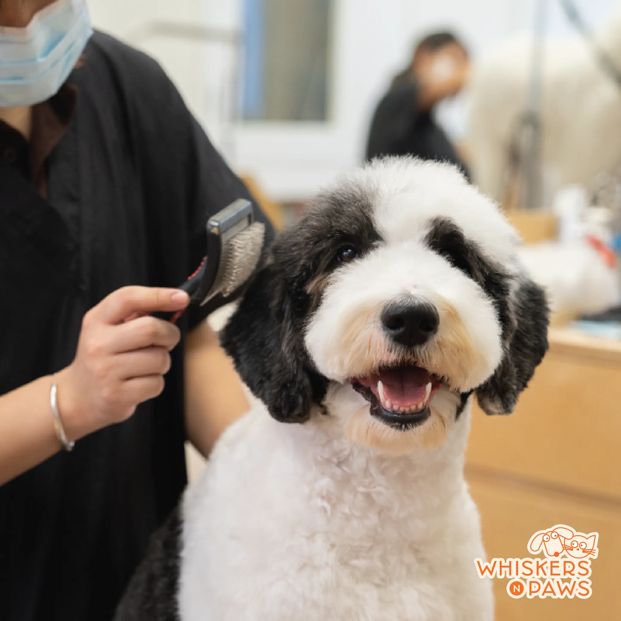 Grooming Package - Breed G