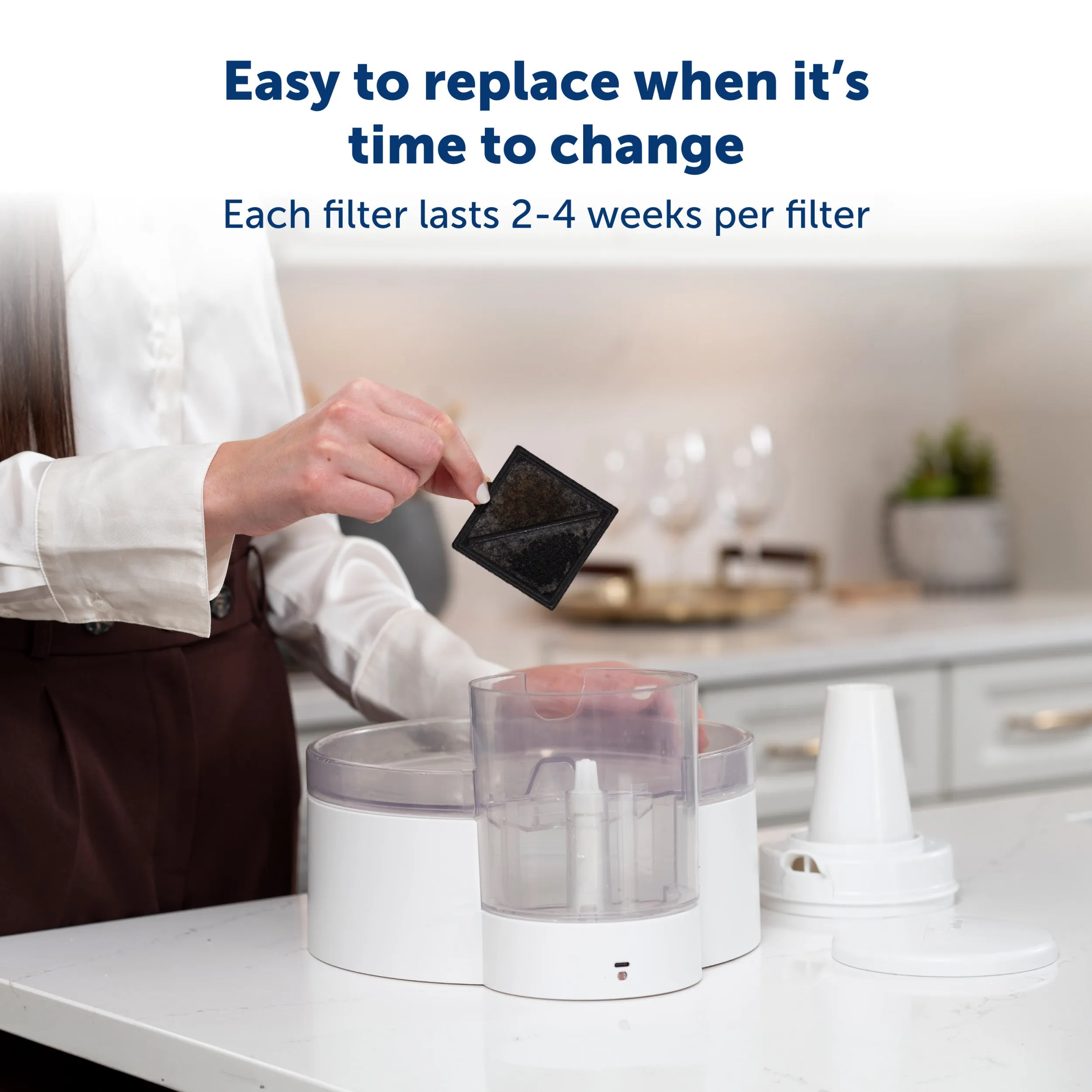 Ion-X™ Pet Fountain Filters, 4-Pack