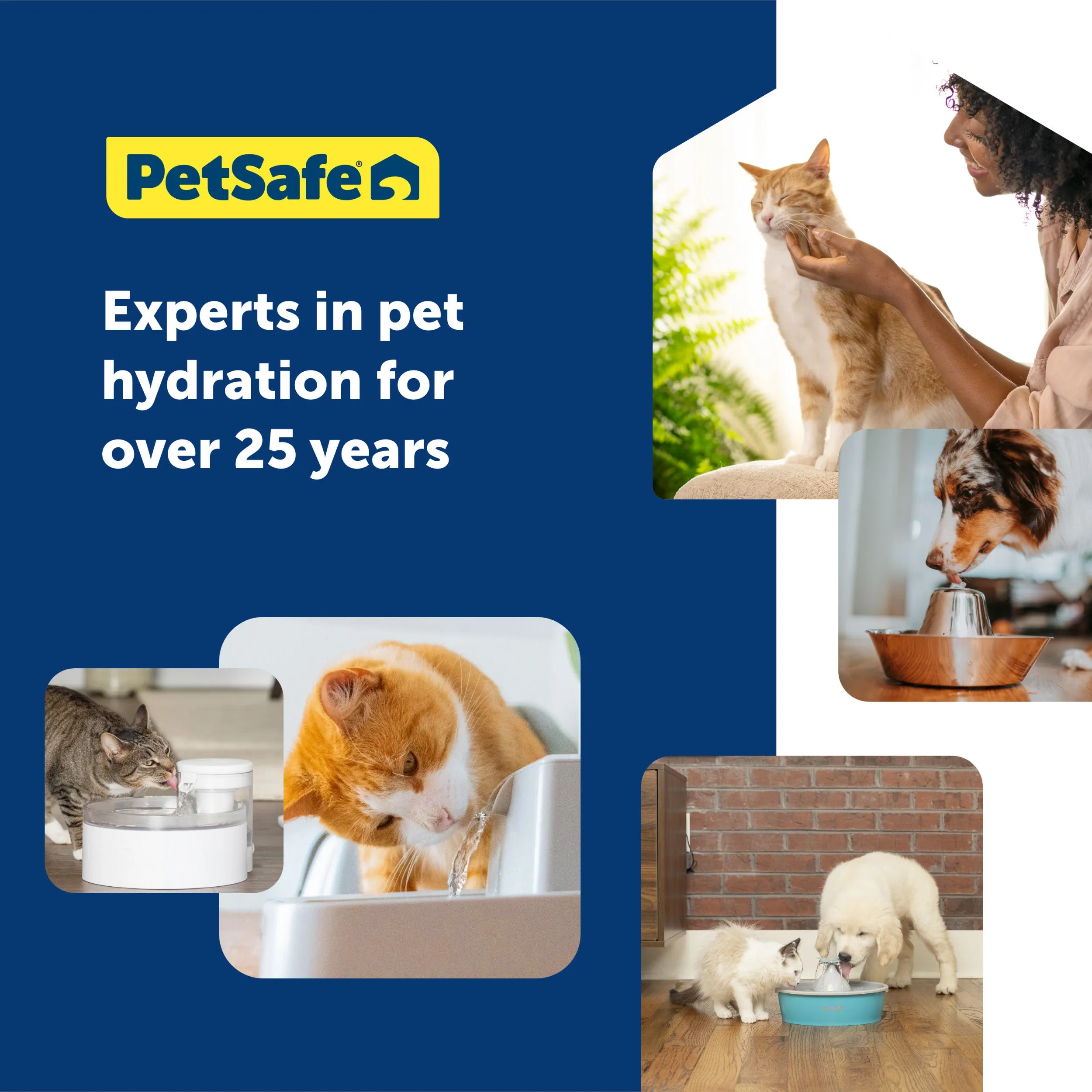 Ion-X™ Pet Fountain Filters, 4-Pack