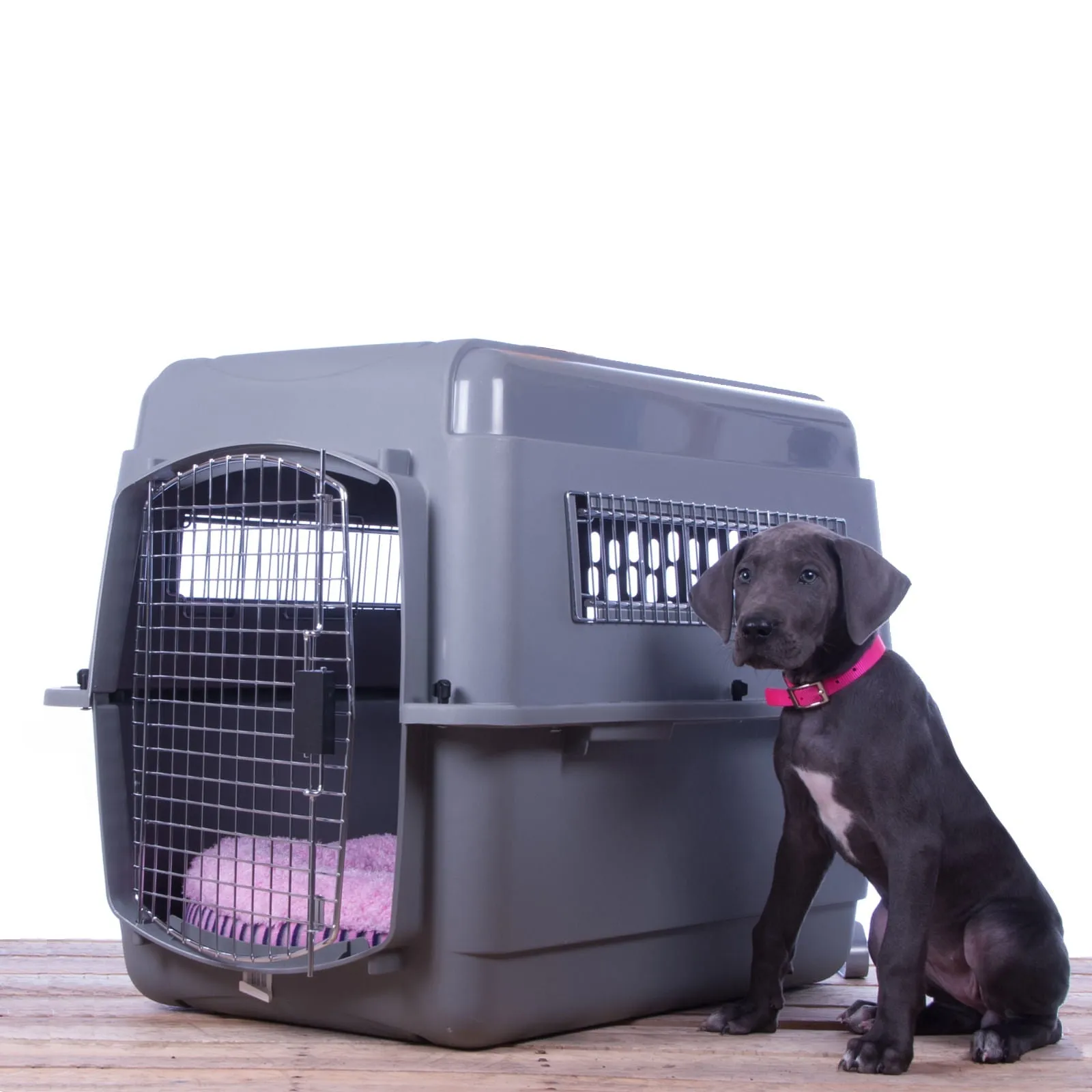Jeffers Sky Kennel Travel Pet Kennel with Food & Water Bowls Included