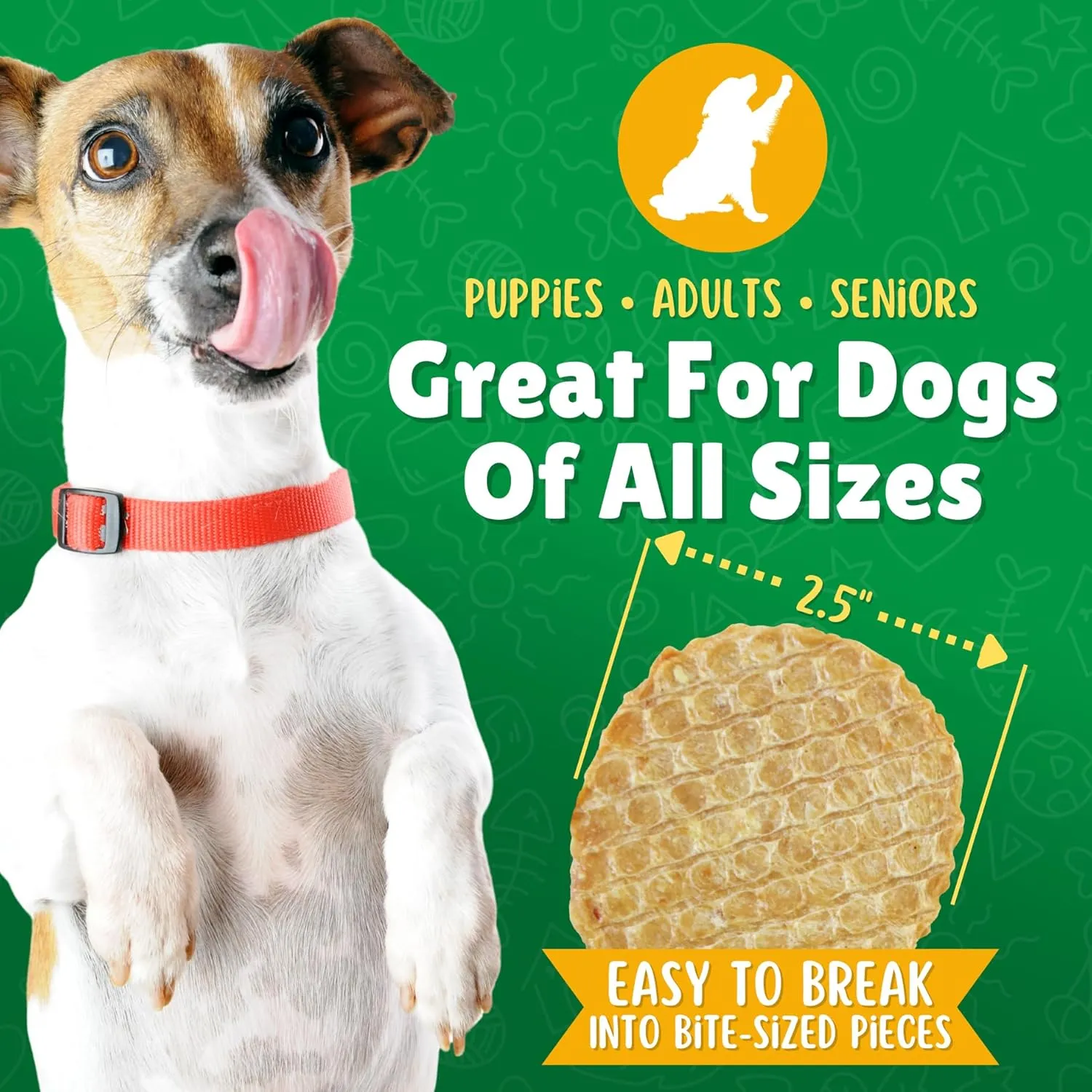 Lucky Premium Treats Chicken & Carrot Lucky Chips for Dogs  Healthy Chicken Dog Treats Made in USA  2 Ingredient Chicken Jerky Dog Treats  6 oz Jar