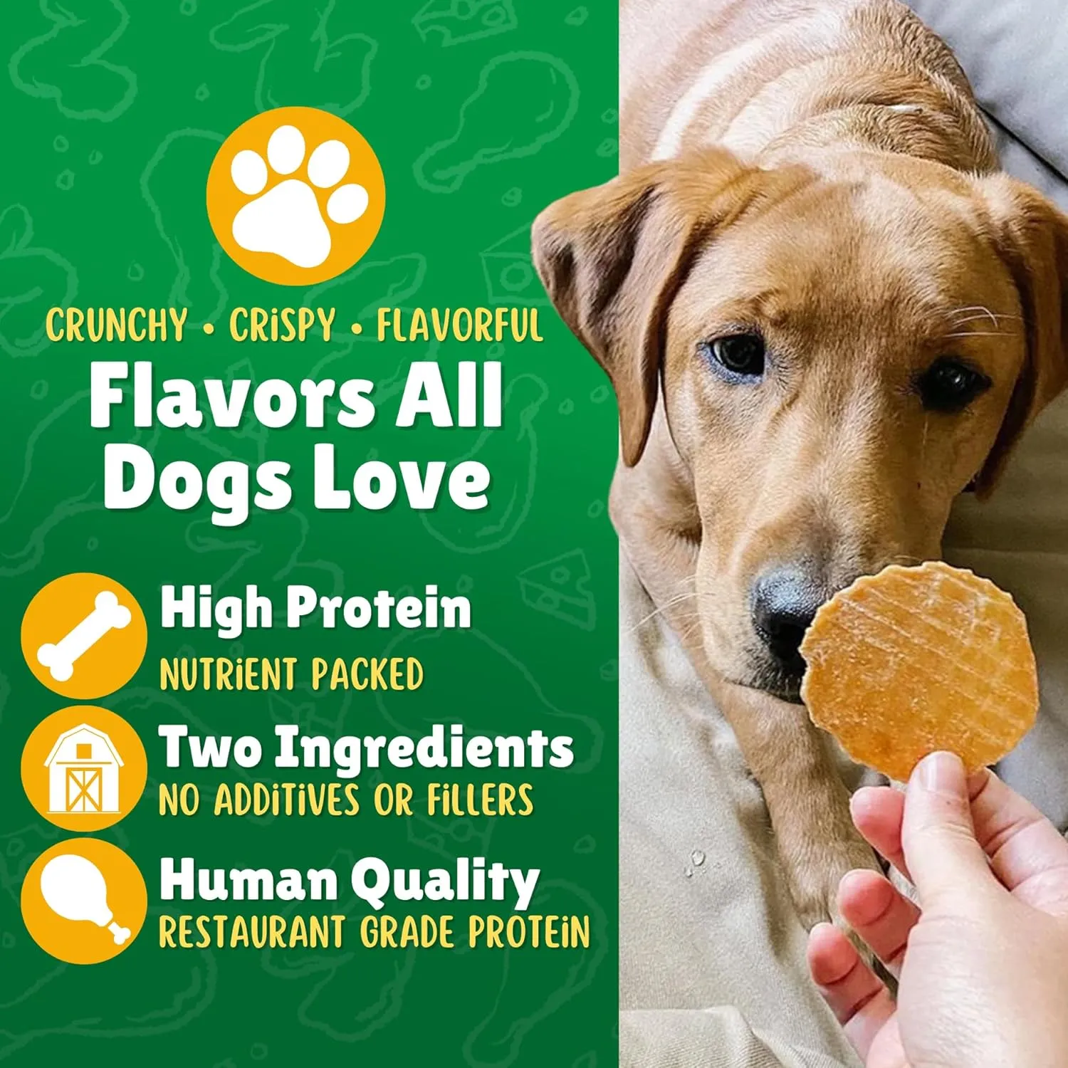 Lucky Premium Treats Chicken & Carrot Lucky Chips for Dogs  Healthy Chicken Dog Treats Made in USA  2 Ingredient Chicken Jerky Dog Treats  6 oz Jar