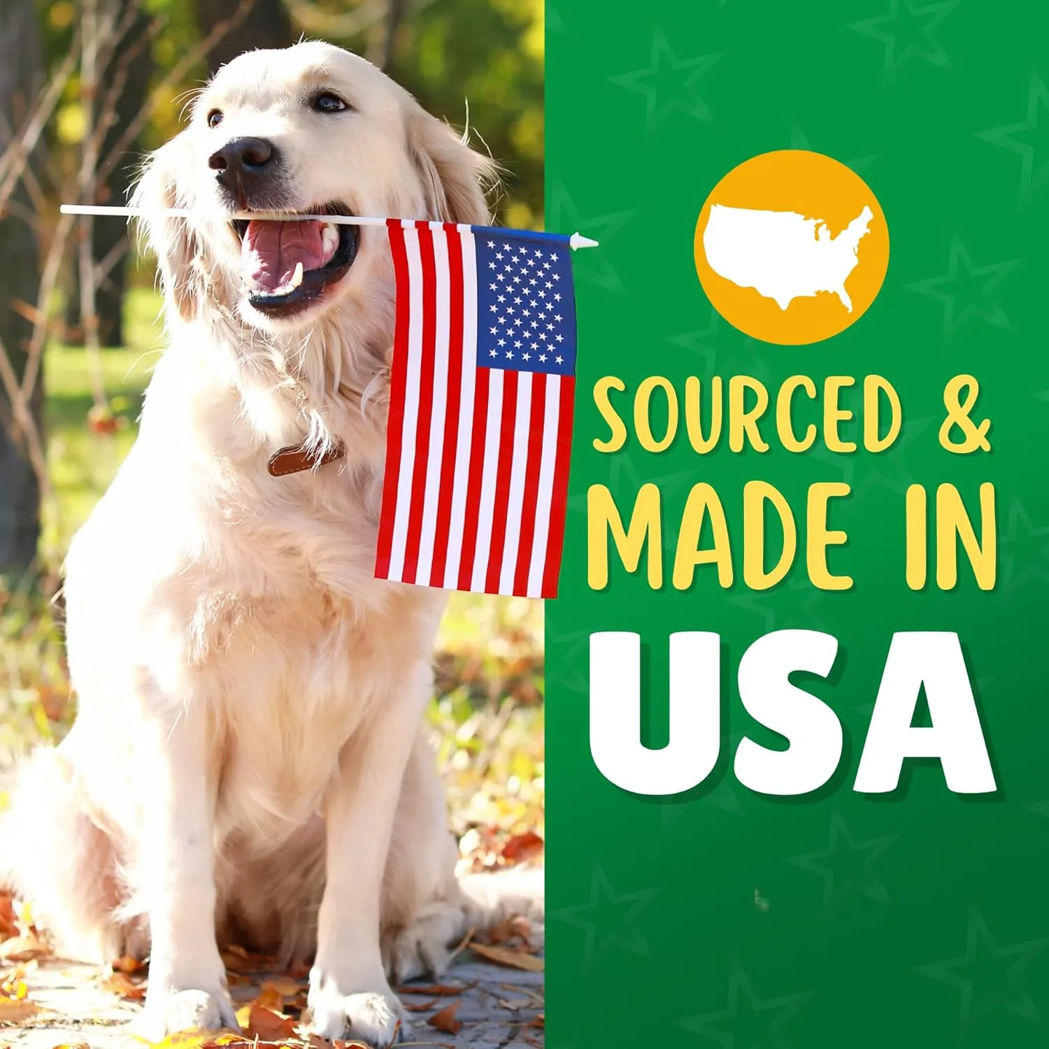 Lucky Premium Treats Chicken & Carrot Lucky Chips for Dogs  Healthy Chicken Dog Treats Made in USA  2 Ingredient Chicken Jerky Dog Treats  6 oz Jar