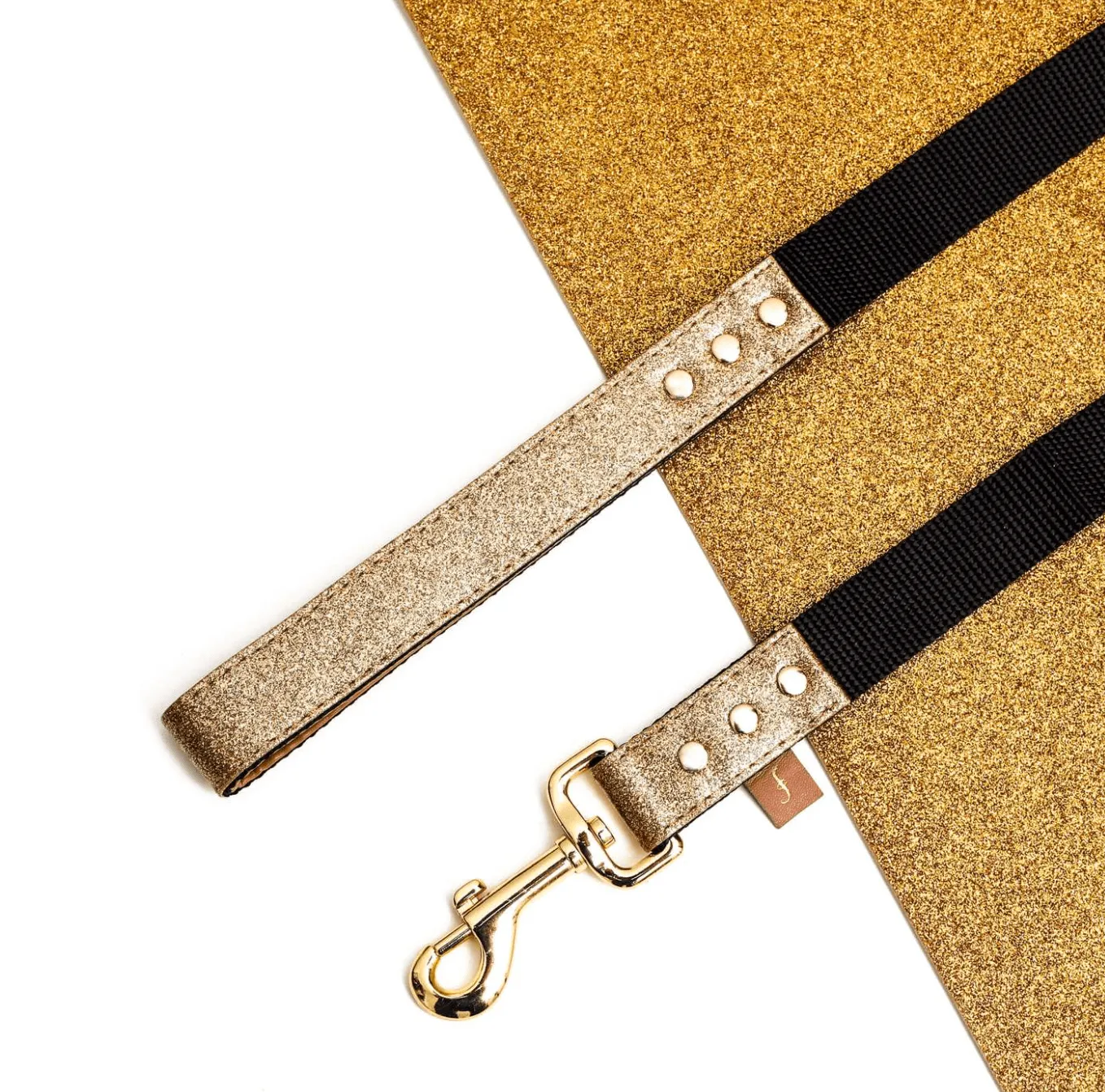 MATCHING FRENDSHIP LEASHES