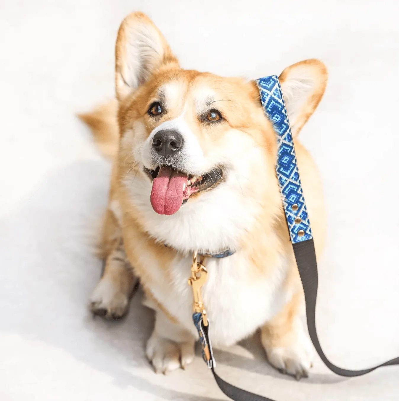 MATCHING FRENDSHIP LEASHES