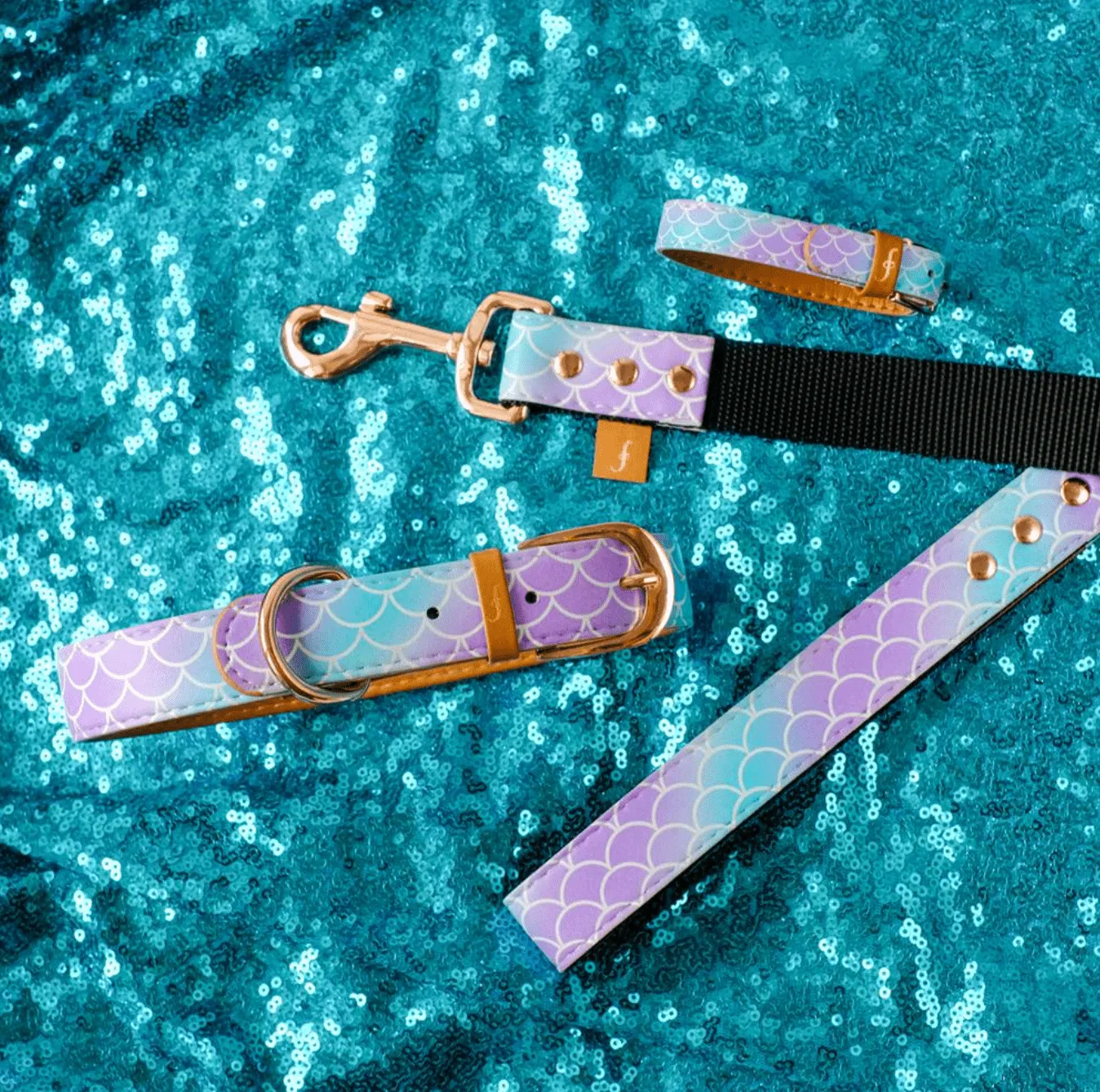 MATCHING FRENDSHIP LEASHES