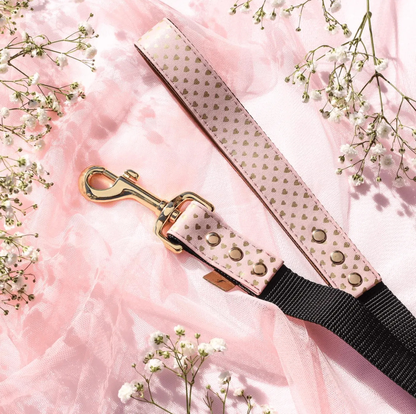 MATCHING FRENDSHIP LEASHES
