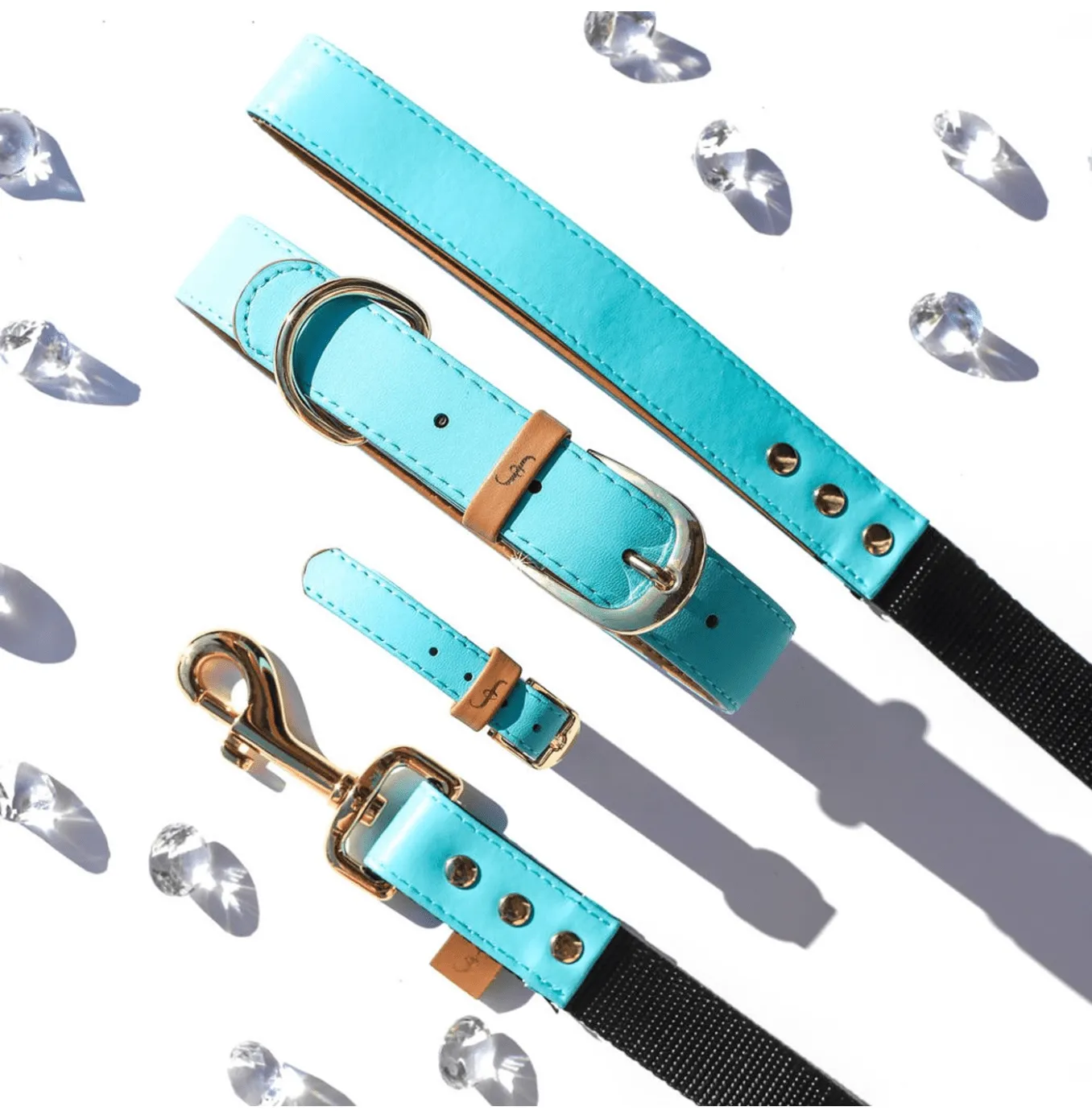 MATCHING FRENDSHIP LEASHES