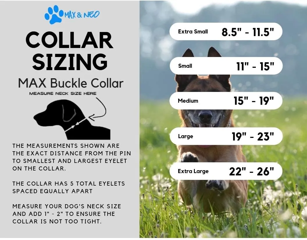 Max and Neo MAX Reflective Metal Buckle Dog Collar - We Donate a Collar to a Dog Rescue for Every Collar Sold (Small, Teal)