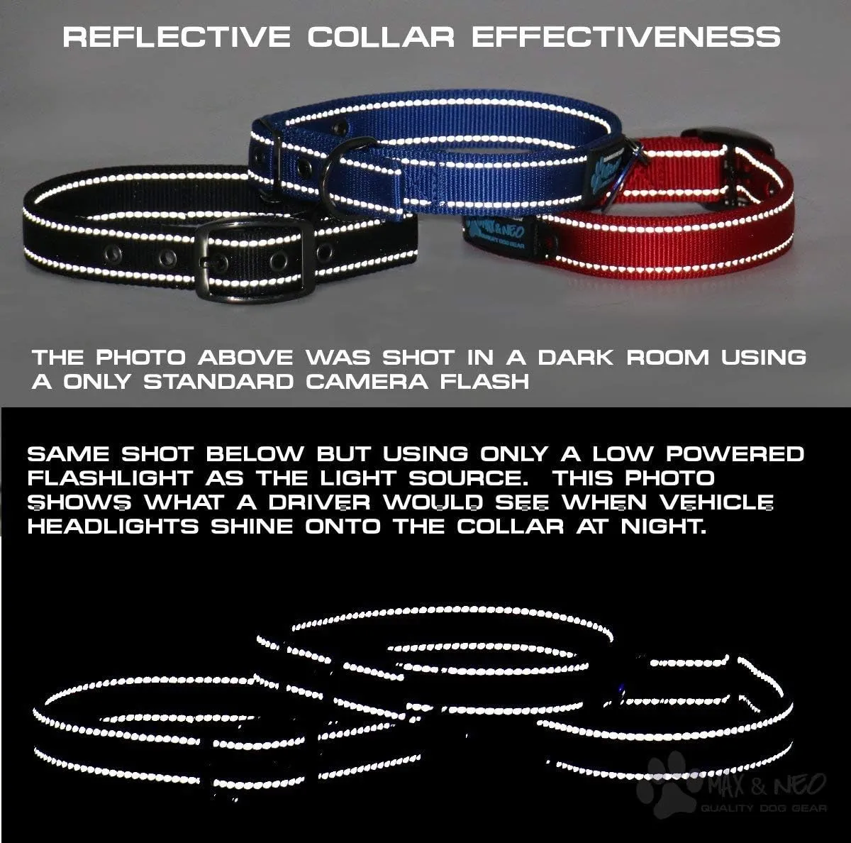 Max and Neo MAX Reflective Metal Buckle Dog Collar - We Donate a Collar to a Dog Rescue for Every Collar Sold (Small, Teal)