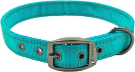 Max and Neo MAX Reflective Metal Buckle Dog Collar - We Donate a Collar to a Dog Rescue for Every Collar Sold (Small, Teal)
